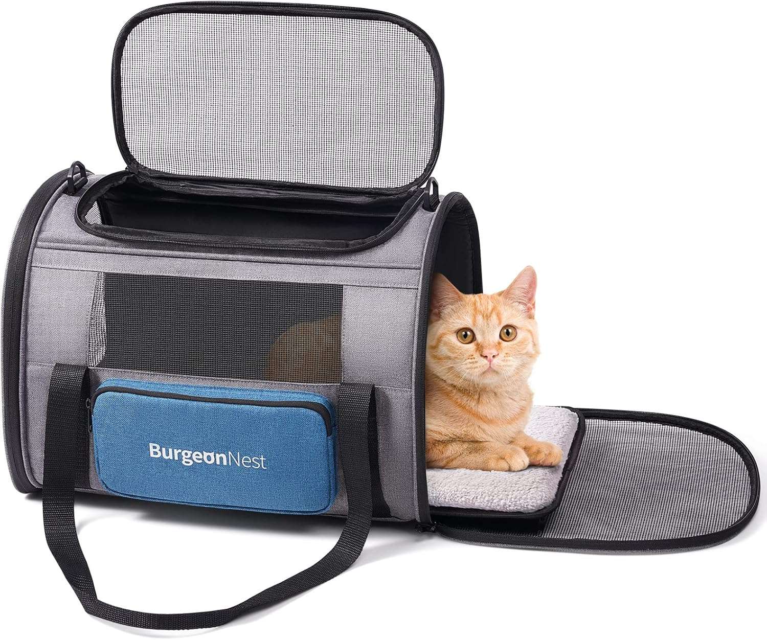 Cat Carrier Factory