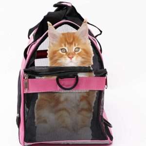 Custom Cat Carrier Supplier