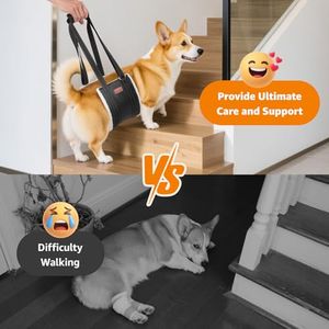 dog sling manufacturer